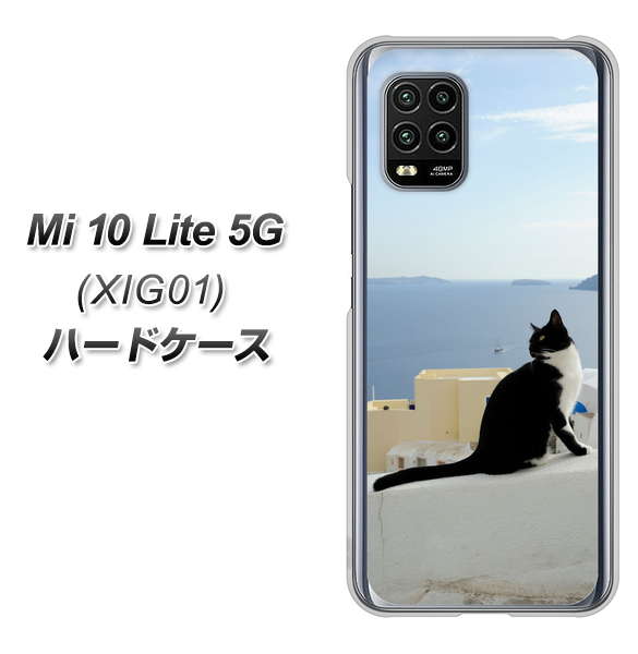 au Xiaomi(シャオミ)Mi 10 Lite 5G XIG01 高画質仕上げ 背面印刷 ハードケース【VA805 ネコと地中海】