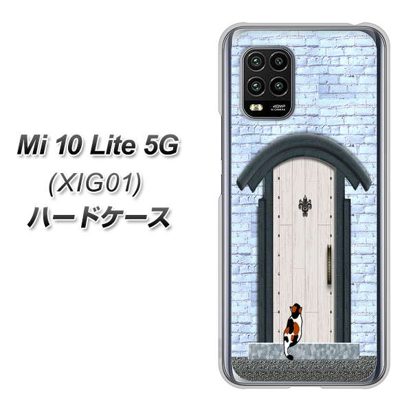 au Xiaomi(シャオミ)Mi 10 Lite 5G XIG01 高画質仕上げ 背面印刷 ハードケース【YA951 石ドア01】