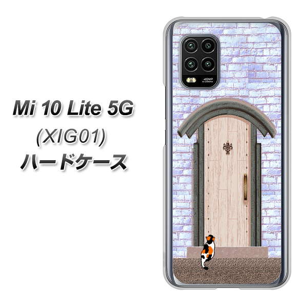 au Xiaomi(シャオミ)Mi 10 Lite 5G XIG01 高画質仕上げ 背面印刷 ハードケース【YA952 石ドア02 素材クリア】