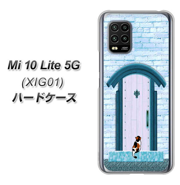 au Xiaomi(シャオミ)Mi 10 Lite 5G XIG01 高画質仕上げ 背面印刷 ハードケース【YA953 石ドア03 素材クリア】