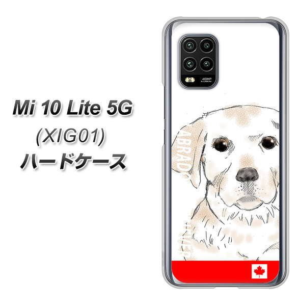 au Xiaomi(シャオミ)Mi 10 Lite 5G XIG01 高画質仕上げ 背面印刷 ハードケース【YD821 ラブラドールレトリバー02】