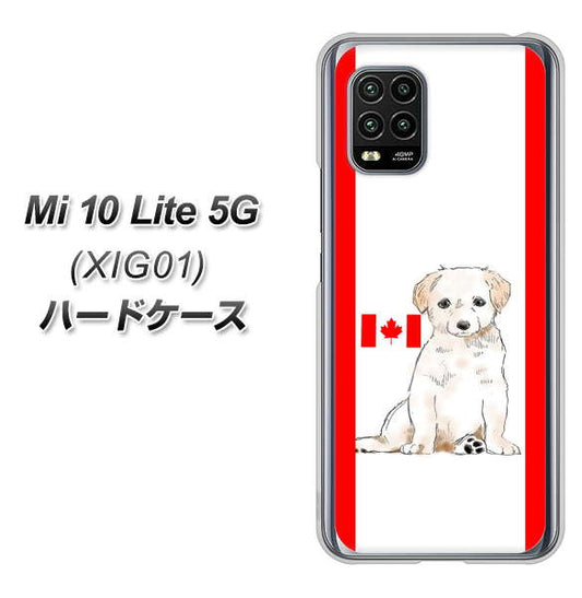 au Xiaomi(シャオミ)Mi 10 Lite 5G XIG01 高画質仕上げ 背面印刷 ハードケース【YD824 ラブラドールレトリバー05】