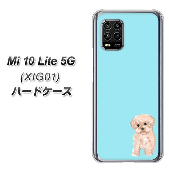 au Xiaomi(シャオミ)Mi 10 Lite 5G XIG01 高画質仕上げ 背面印刷 ハードケース【YJ062 トイプードルアプリコット(ブルー)】
