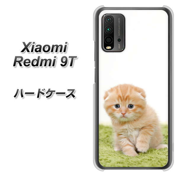 SIMフリー Xiaomi(シャオミ)Redmi 9T 高画質仕上げ 背面印刷 ハードケース【VA802 ネコこっそり】