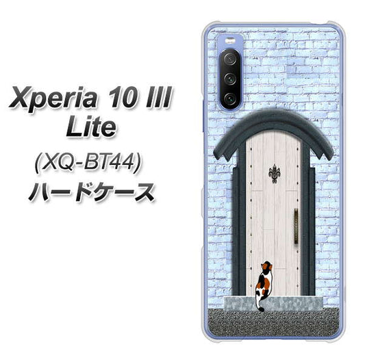 SIMフリー エクスペリア10 III Lite XQ-BT44 高画質仕上げ 背面印刷 ハードケース【YA951 石ドア01】