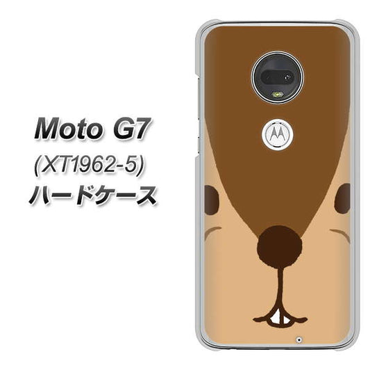 simフリー Moto G7 XT1962-5 高画質仕上げ 背面印刷 ハードケース【349 りす】