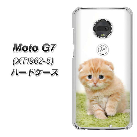 simフリー Moto G7 XT1962-5 高画質仕上げ 背面印刷 ハードケース【VA802 ネコこっそり】