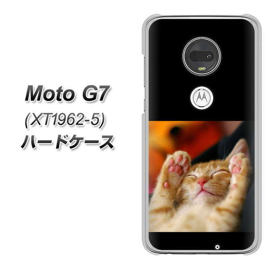 simフリー Moto G7 XT1962-5 高画質仕上げ 背面印刷 ハードケース【VA804 爆睡するネコ】