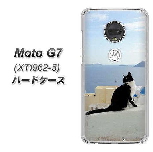 simフリー Moto G7 XT1962-5 高画質仕上げ 背面印刷 ハードケース【VA805 ネコと地中海】