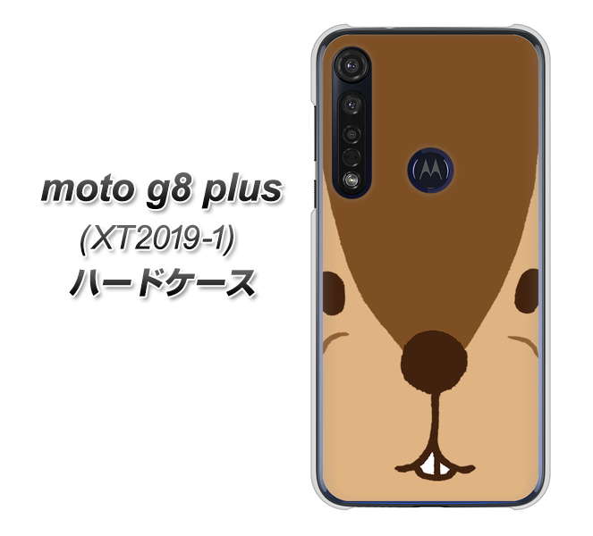 SIMフリー moto g8 plus XT2019-1 高画質仕上げ 背面印刷 ハードケース【349 りす】