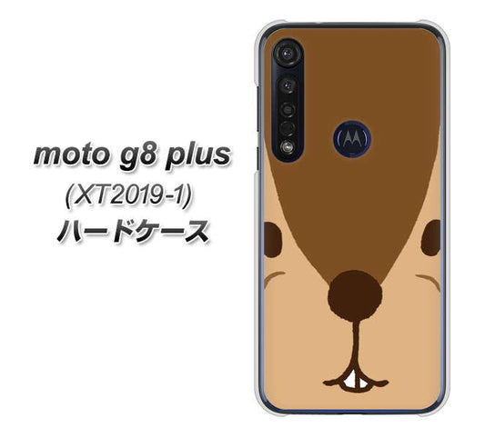 SIMフリー moto g8 plus XT2019-1 高画質仕上げ 背面印刷 ハードケース【349 りす】