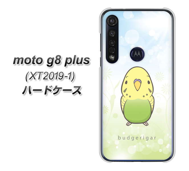 SIMフリー moto g8 plus XT2019-1 高画質仕上げ 背面印刷 ハードケース【SC838 セキセイインコ グリーン】