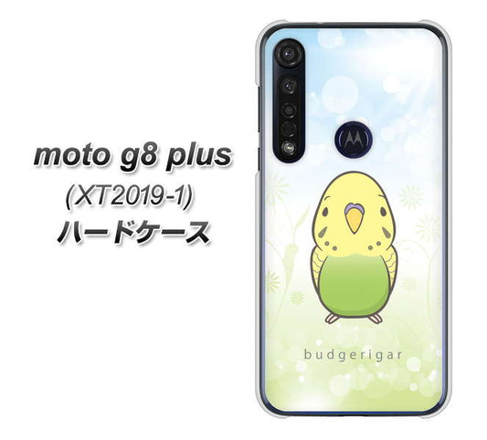 SIMフリー moto g8 plus XT2019-1 高画質仕上げ 背面印刷 ハードケース【SC838 セキセイインコ グリーン】