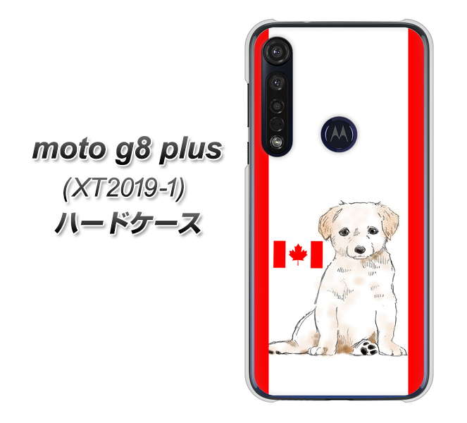 SIMフリー moto g8 plus XT2019-1 高画質仕上げ 背面印刷 ハードケース【YD824 ラブラドールレトリバー05】