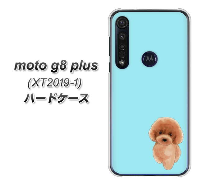 SIMフリー moto g8 plus XT2019-1 高画質仕上げ 背面印刷 ハードケース【YJ050 トイプードルレッド(ブルー)】