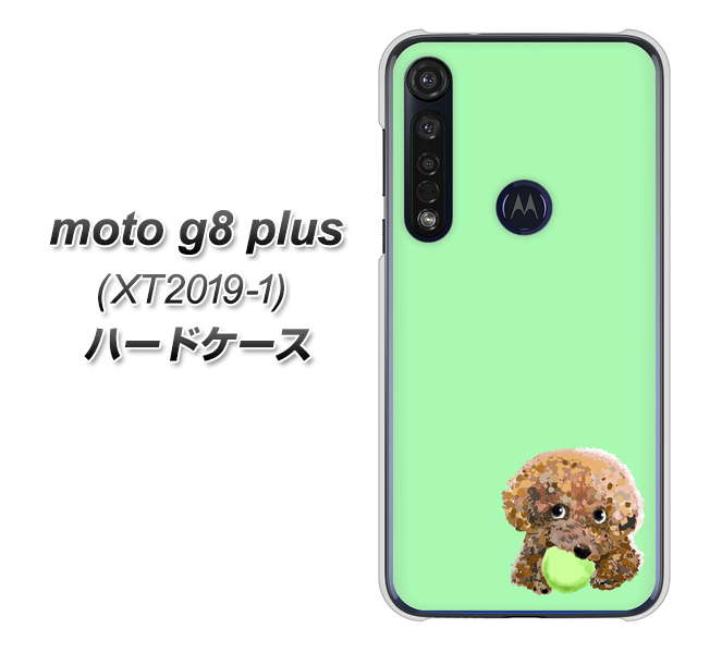SIMフリー moto g8 plus XT2019-1 高画質仕上げ 背面印刷 ハードケース【YJ055 トイプードル&ボール(グリーン)】