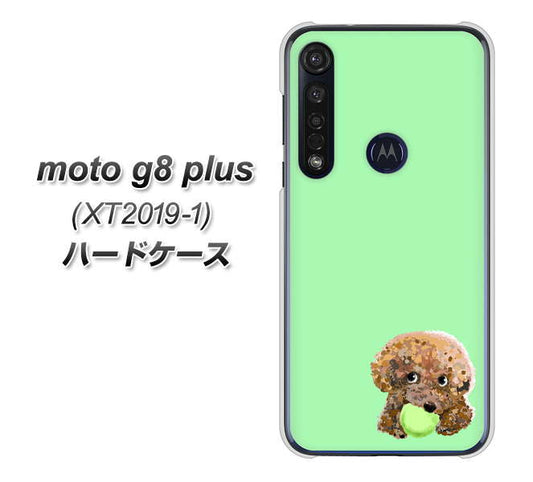 SIMフリー moto g8 plus XT2019-1 高画質仕上げ 背面印刷 ハードケース【YJ055 トイプードル&ボール(グリーン)】