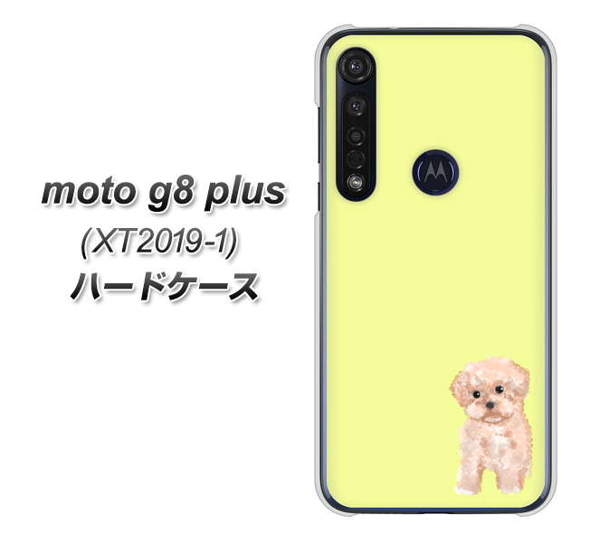 SIMフリー moto g8 plus XT2019-1 高画質仕上げ 背面印刷 ハードケース【YJ064 トイプードルアプリコット(イエロー)】