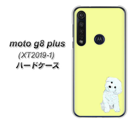 SIMフリー moto g8 plus XT2019-1 高画質仕上げ 背面印刷 ハードケース【YJ072 トイプードルホワイト(イエロー)】