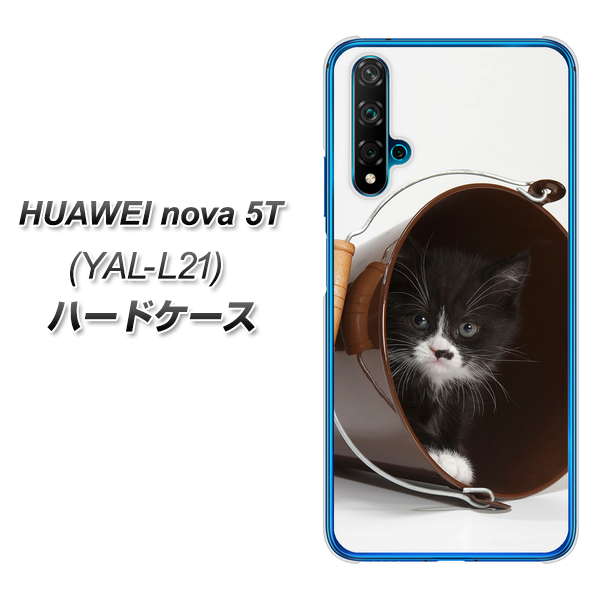 HUAWEI(ファーウェイ) nova 5T YAL-L21 高画質仕上げ 背面印刷 ハードケース【VA800 ネコとバケツ】