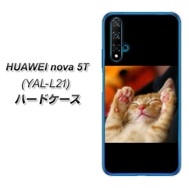 HUAWEI(ファーウェイ) nova 5T YAL-L21 高画質仕上げ 背面印刷 ハードケース【VA804 爆睡するネコ】