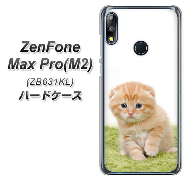 ZenFone(ゼンフォン)Max Pro(M2) ZB631KL 高画質仕上げ 背面印刷 ハードケース【VA802 ネコこっそり】