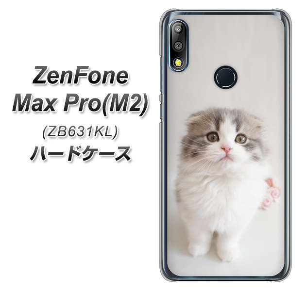 ZenFone(ゼンフォン)Max Pro(M2) ZB631KL 高画質仕上げ 背面印刷 ハードケース【VA803 まっていますネコ】