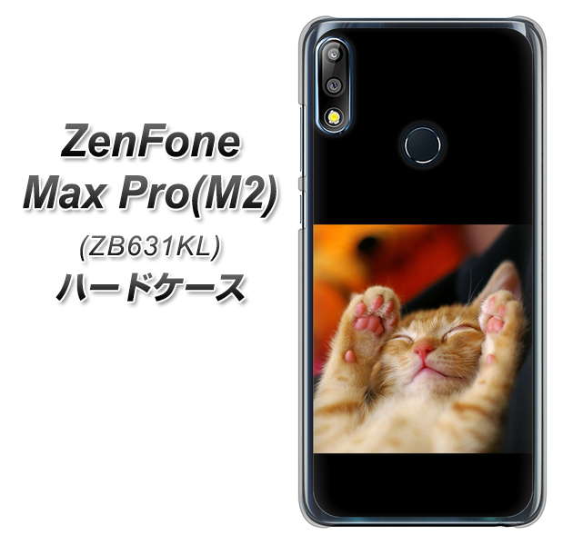 ZenFone(ゼンフォン)Max Pro(M2) ZB631KL 高画質仕上げ 背面印刷 ハードケース【VA804 爆睡するネコ】