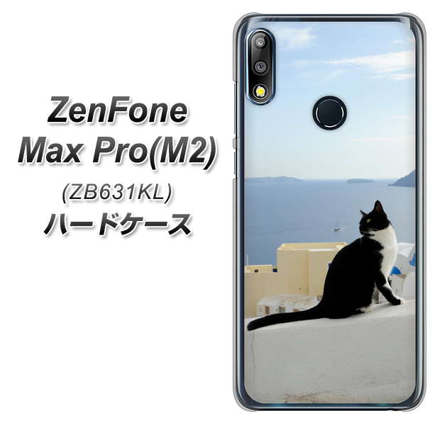 ZenFone(ゼンフォン)Max Pro(M2) ZB631KL 高画質仕上げ 背面印刷 ハードケース【VA805 ネコと地中海】