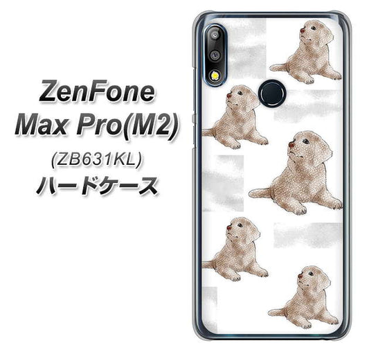 ZenFone（ゼンフォン）Max Pro(M2) ZB631KL 高画質仕上げ 背面印刷 ハードケース【YD823 ラブラドールレトリバー04】