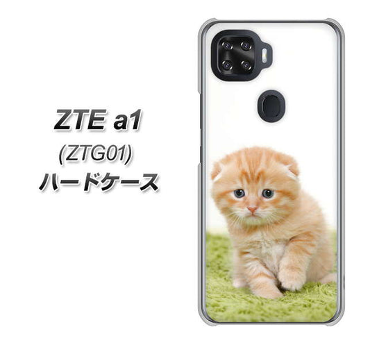 au ZTE a1 ZTG01 高画質仕上げ 背面印刷 ハードケース【VA802 ネコこっそり】
