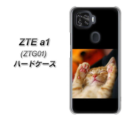 au ZTE a1 ZTG01 高画質仕上げ 背面印刷 ハードケース【VA804 爆睡するネコ】