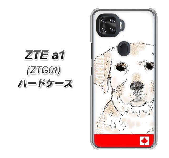 au ZTE a1 ZTG01 高画質仕上げ 背面印刷 ハードケース【YD821 ラブラドールレトリバー02】