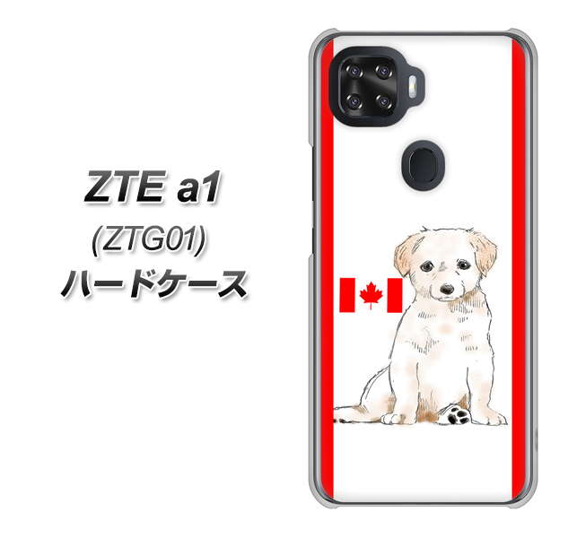 au ZTE a1 ZTG01 高画質仕上げ 背面印刷 ハードケース【YD824 ラブラドールレトリバー05】