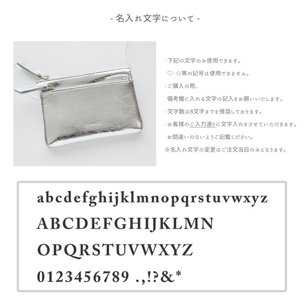 スキミング防止 Wジッパー マルチケースA  名入れ シルバーポーチ