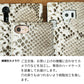 AQUOS sense9 SHG14 au ダイヤモンドパイソン（本革） 手帳型ケース