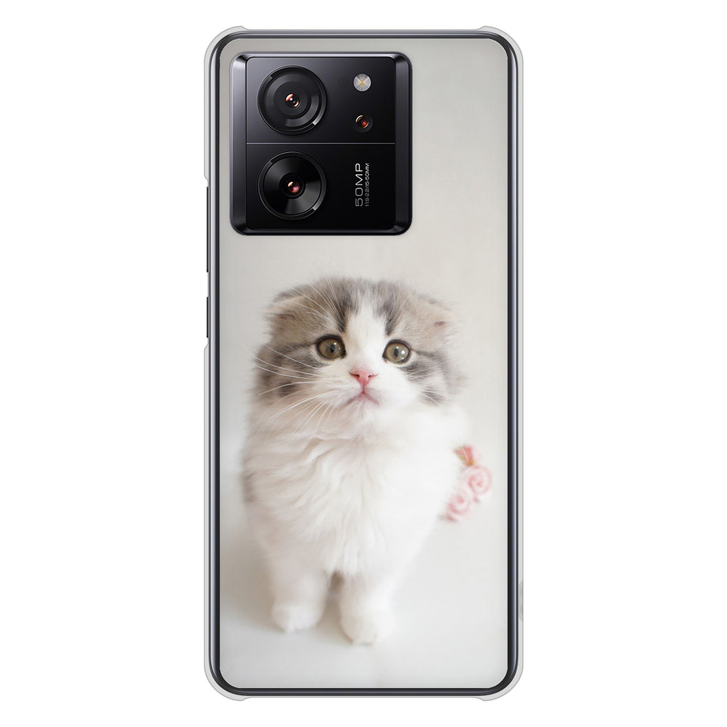 Xiaomi 13T Pro A301XM SoftBank 高画質仕上げ 背面印刷 ハードケース 【VA803 まっていますネコ】