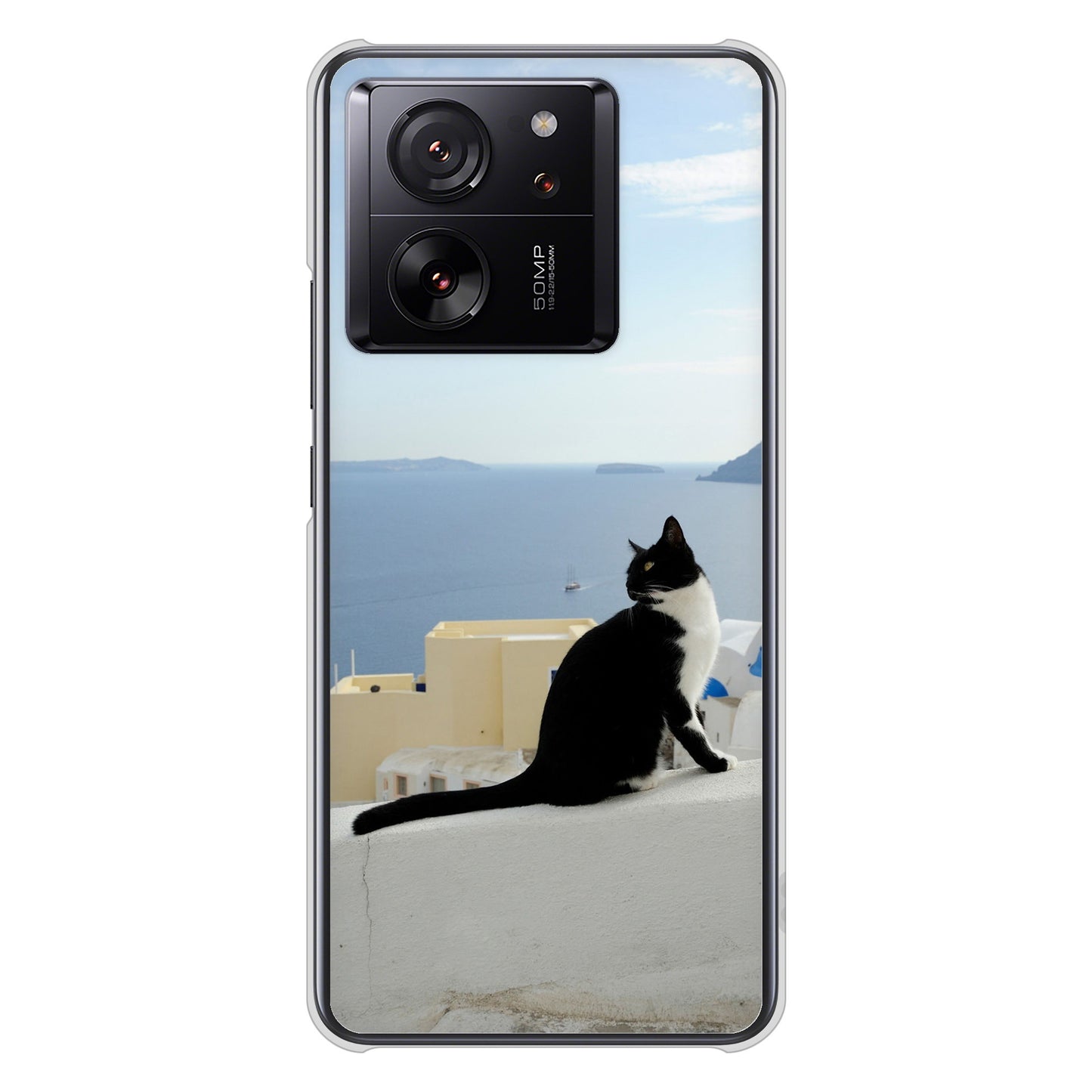 Xiaomi 13T Pro A301XM SoftBank 高画質仕上げ 背面印刷 ハードケース 【VA805 ネコと地中海】
