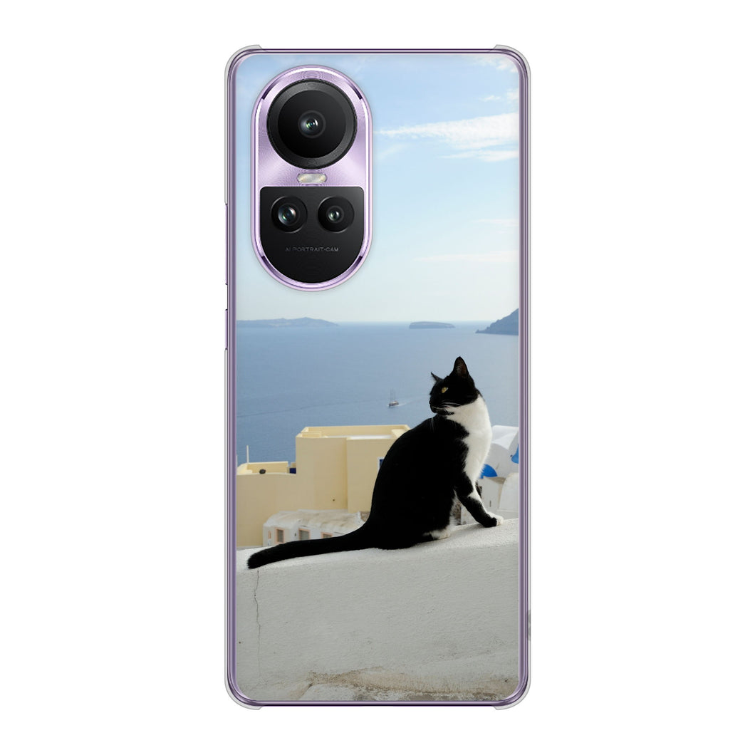 OPPO Reno10 Pro 5G A302OP SoftBank 高画質仕上げ 背面印刷 ハードケース 【VA805 ネコと地中海】