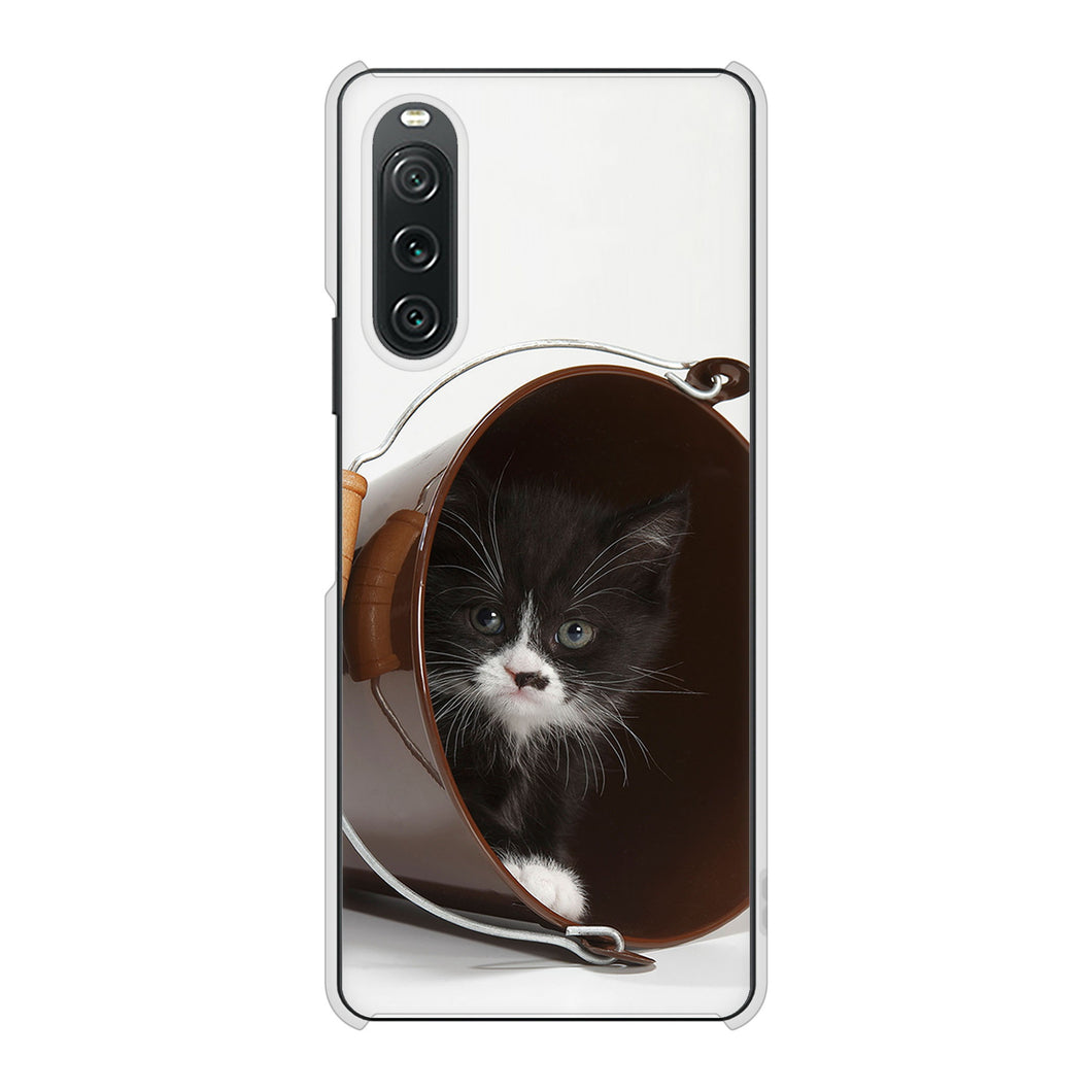 Xperia 10 V A302SO SoftBank 高画質仕上げ 背面印刷 ハードケース 【VA800 ネコとバケツ】