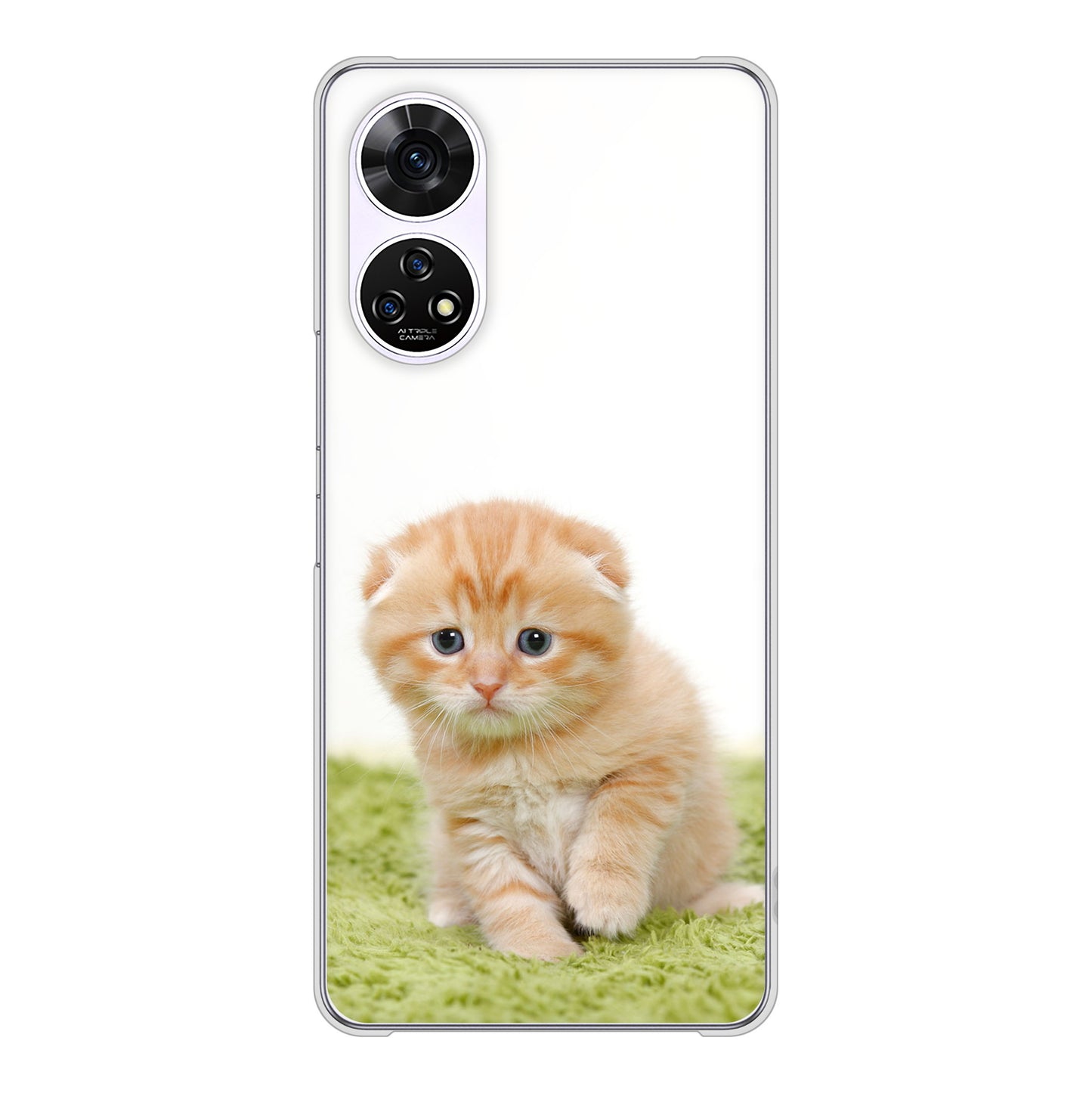 あんしんファミリースマホ A303ZT SoftBank 高画質仕上げ 背面印刷 ハードケース 【VA802 ネコこっそり】