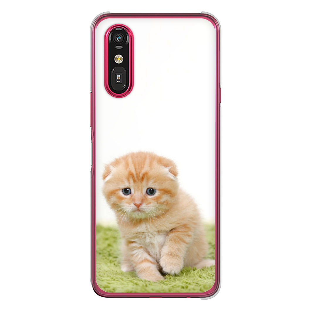 らくらくスマートフォン a A401FC  Y!mobile 高画質仕上げ 背面印刷 ハードケース 【VA802 ネコこっそり】
