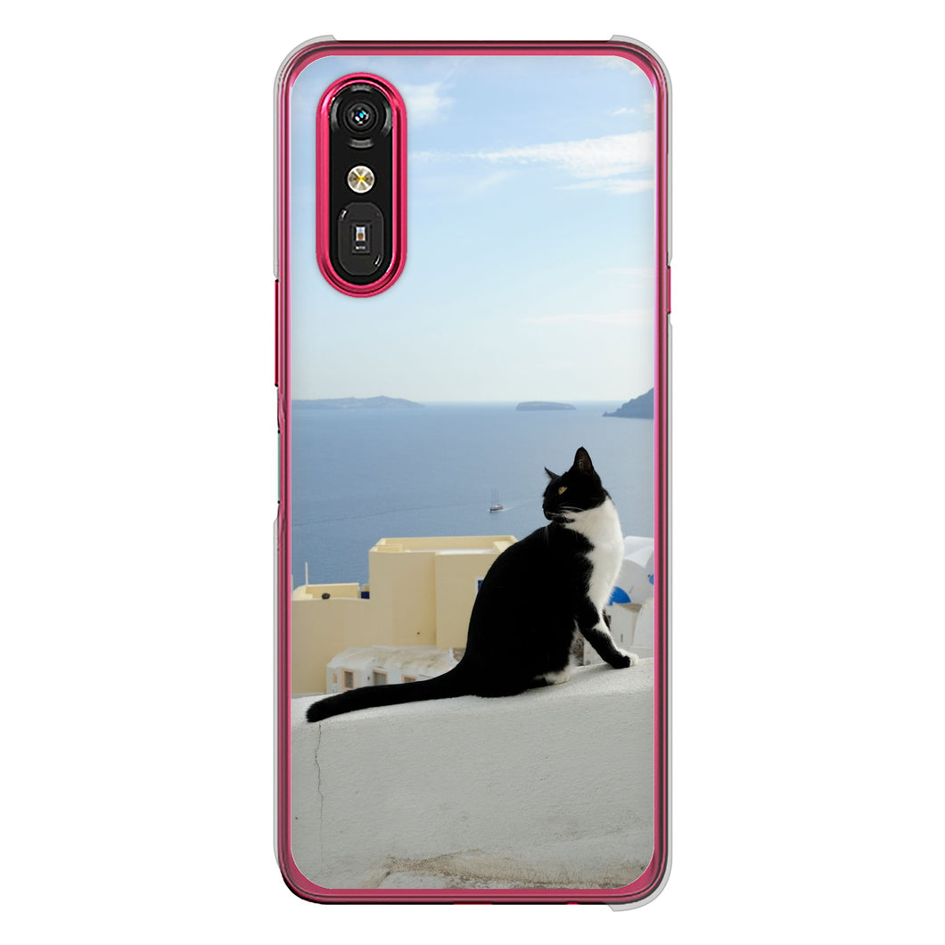 らくらくスマートフォン a A401FC  Y!mobile 高画質仕上げ 背面印刷 ハードケース 【VA805 ネコと地中海】