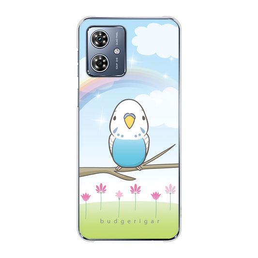 moto g64y 5G A401MO Y!mobile 高画質仕上げ 背面印刷 ハードケースセキセイインコ