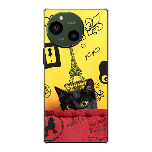 AQUOS R9 A401SH SoftBank 高画質仕上げ 背面印刷 ハードケースLOVE フランス