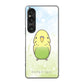 Xperia 1 VI A401SO SoftBank 高画質仕上げ 背面印刷 ハードケースセキセイインコ