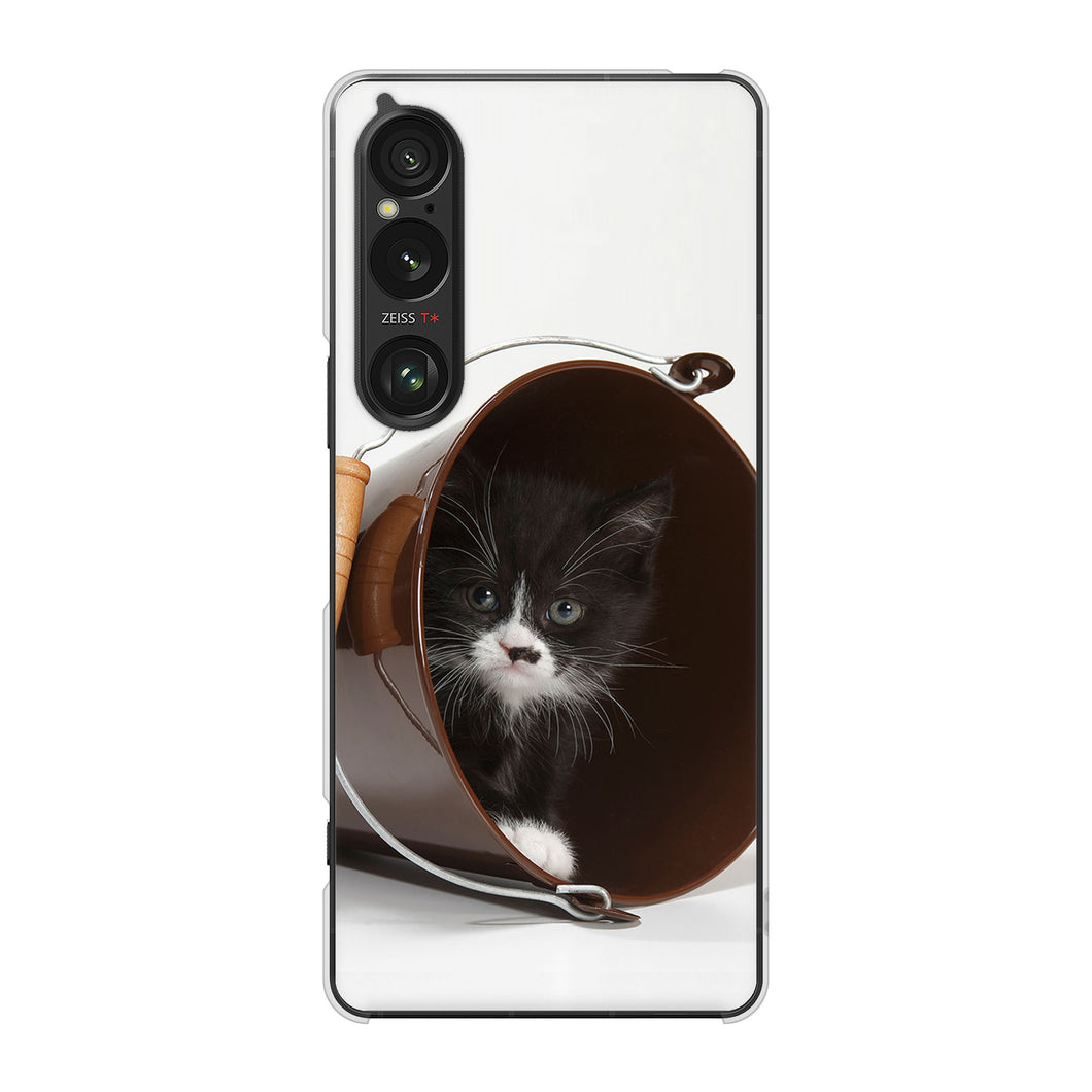 Xperia 1 VI A401SO SoftBank 高画質仕上げ 背面印刷 ハードケース 【VA800 ネコとバケツ】