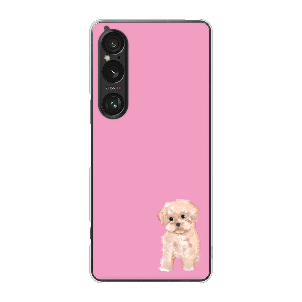 Xperia 1 VI A401SO SoftBank 高画質仕上げ 背面印刷 ハードケーストイプードルアプリコット
