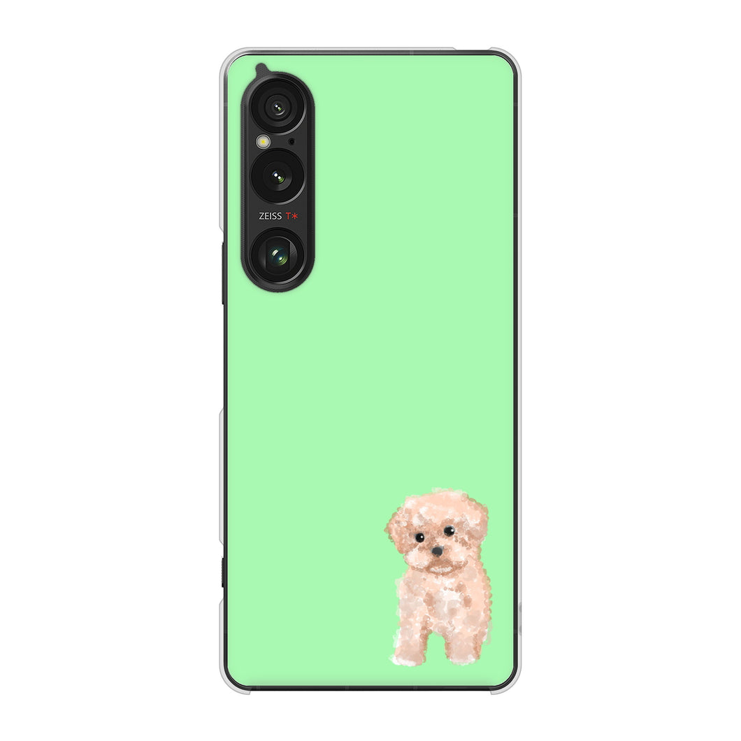 Xperia 1 VI A401SO SoftBank 高画質仕上げ 背面印刷 ハードケーストイプードルアプリコット