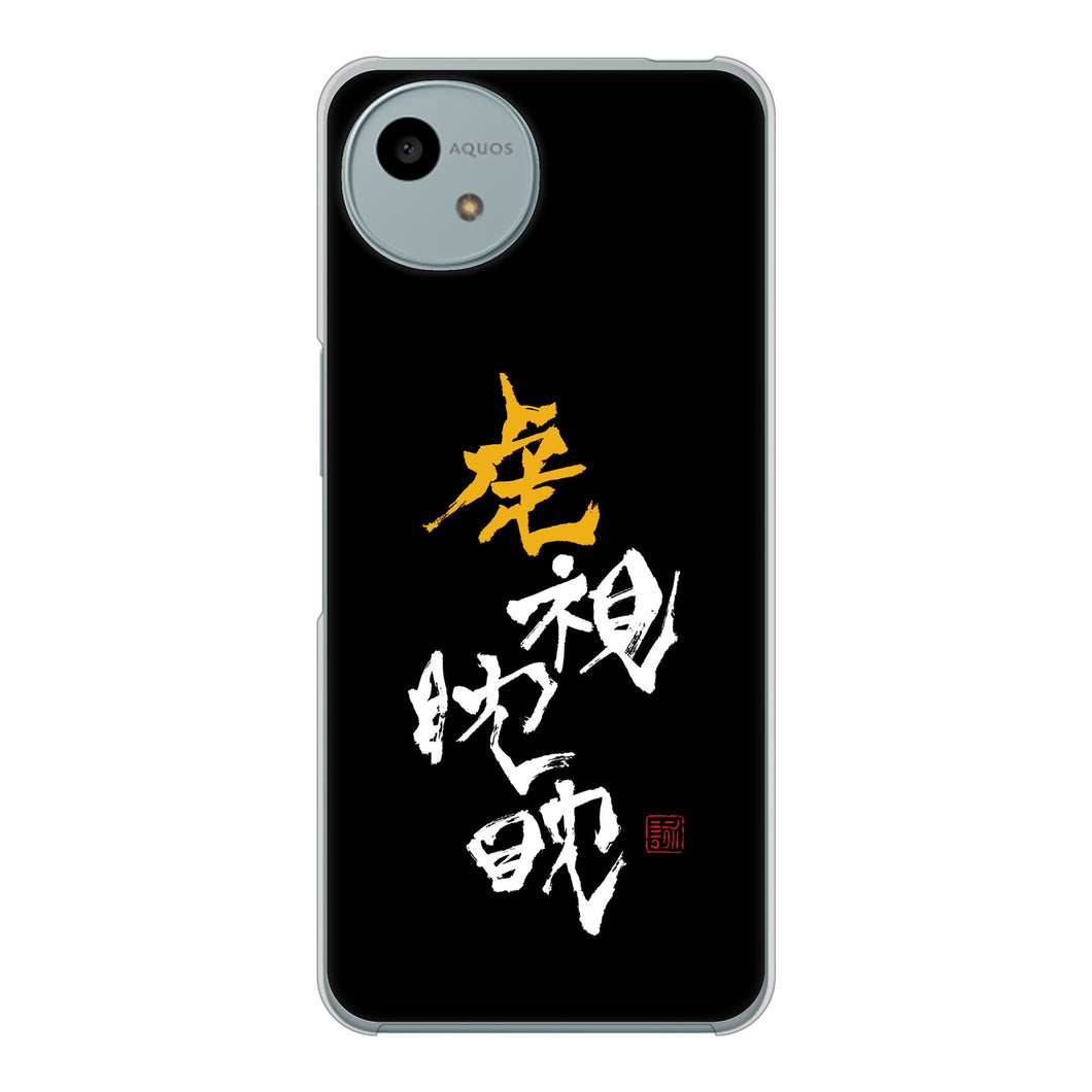AQUOS wish4 A402SH Y!mobile 高画質仕上げ 背面印刷 ハードケース大野詠舟 スポーツ
